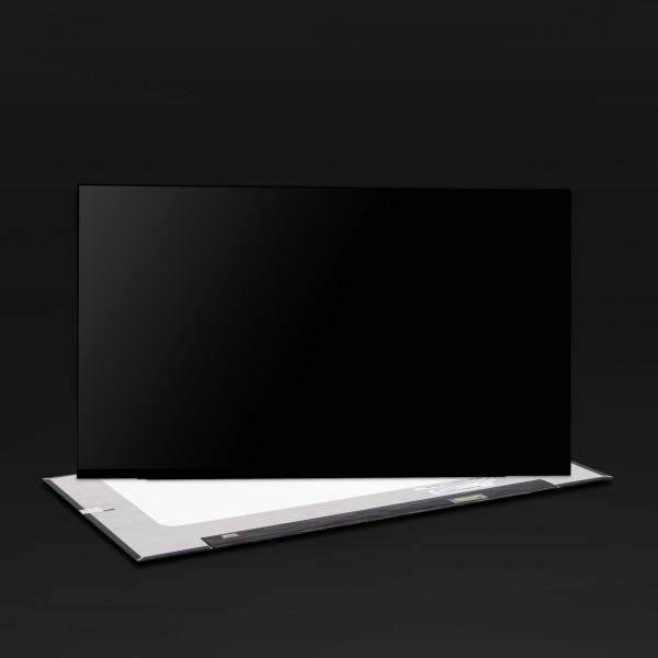NV156FHM-N4N 15,6" Slim IPS Full HD Display matt